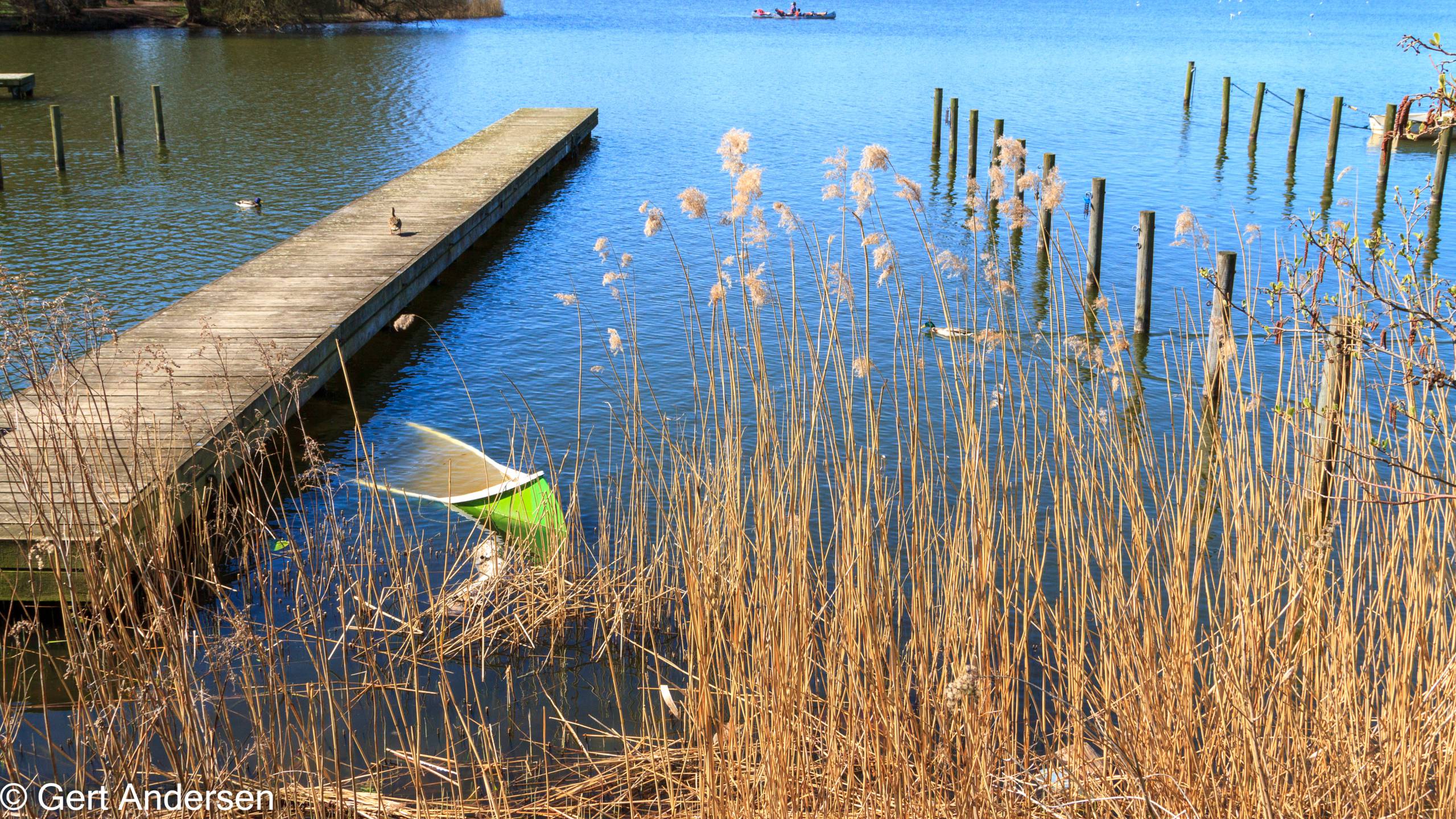 Lyngby Sø (6 of 37) compressed